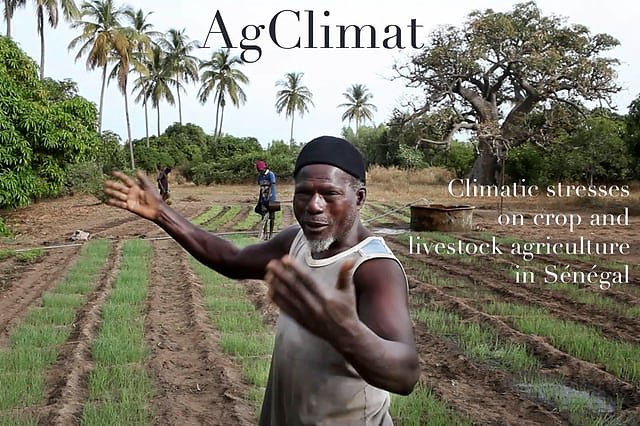 AgClimat / Climatic stresses on crop and livestock agriculture in Sénégal